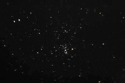 img_6984.jpg